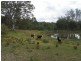 126 Glenbrae Road, Wistow SA 5251