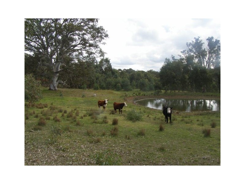 126 Glenbrae Road, Wistow SA 5251