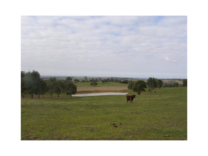 126 Glenbrae Road, Wistow SA 5251