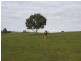 126 Glenbrae Road, Wistow SA 5251