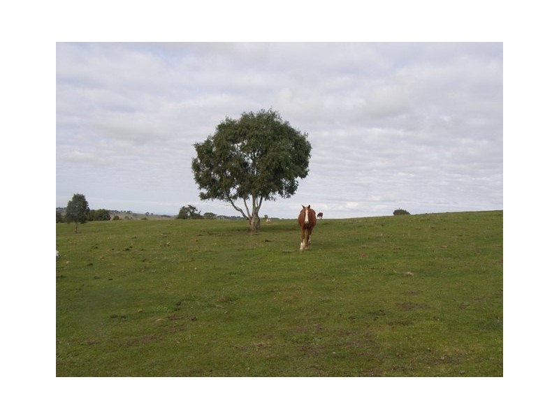 126 Glenbrae Road, Wistow SA 5251