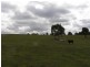 126 Glenbrae Road, Wistow SA 5251