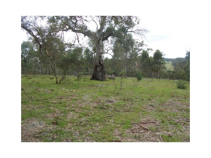 126 Glenbrae Road, Wistow SA 5251