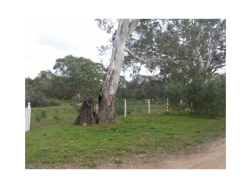 126 Glenbrae Road, Wistow SA 5251