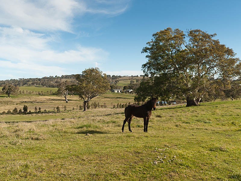 59 McLean Road, Birdwood SA 5234