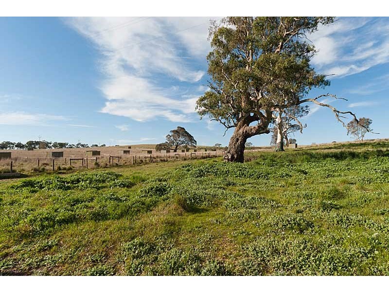 59 McLean Road, Birdwood SA 5234