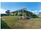 44 Rachel Circuit, Nairne SA 5252