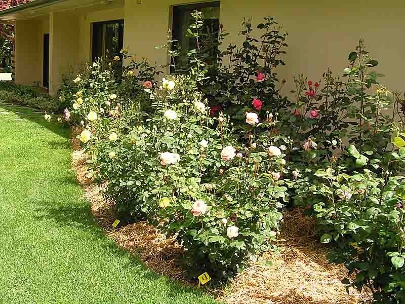 Lot 7 Kumnick Hill Road, Lenswood SA 5240