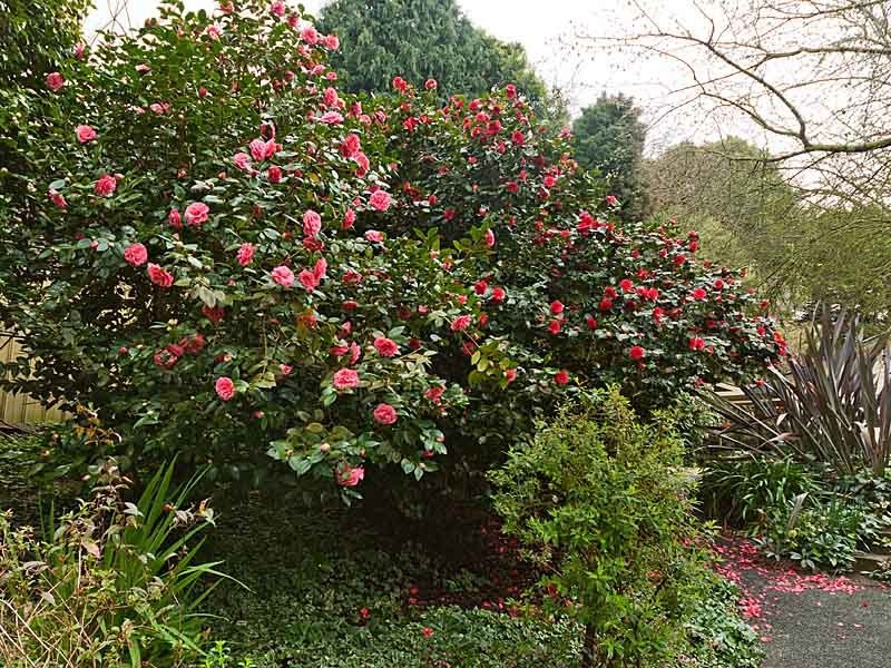 Lot 7 Kumnick Hill Road, Lenswood SA 5240