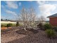 20  Pontiac Road, Mount Barker SA 5251