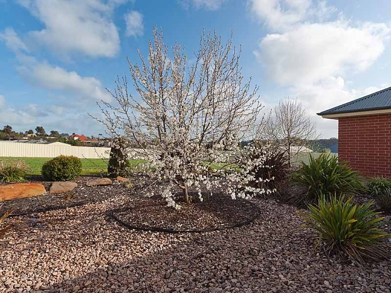 20  Pontiac Road, Mount Barker SA 5251