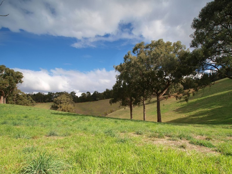 125 Leslie Road, Lenswood SA 5240