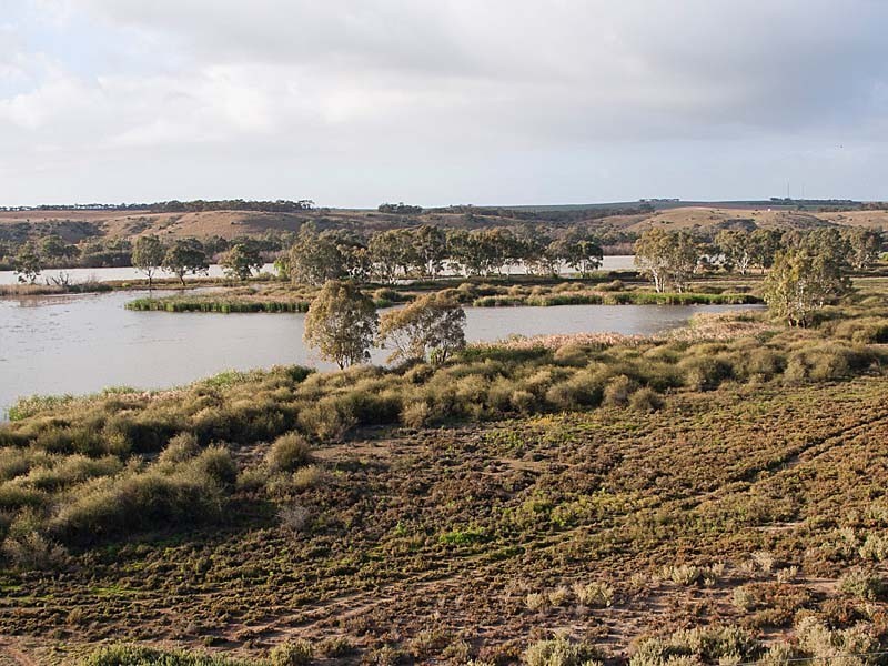 559 Purnong Road, Mannum SA 5238