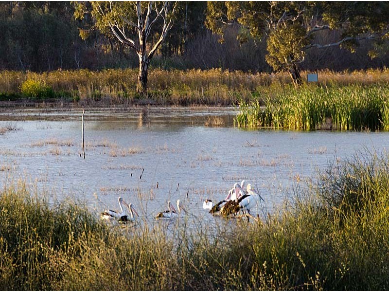 559 Purnong Road, Mannum SA 5238