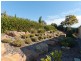 14 Sheridan Court, Mount Barker SA 5251