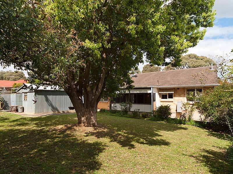 19 Richardson Avenue, Tranmere SA 5073