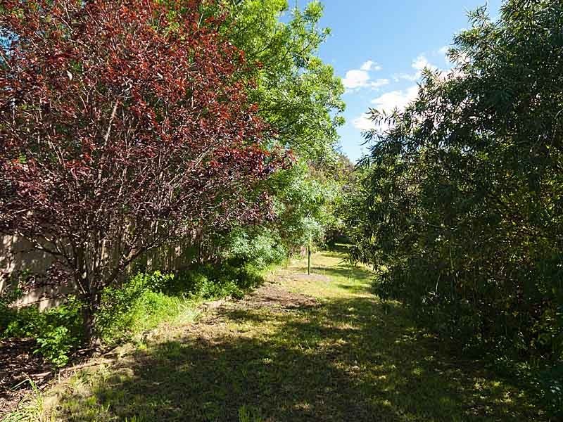 12 Cunliffe Street, Macclesfield SA 5153