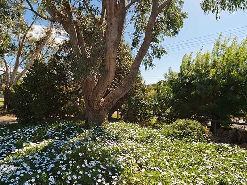 12 Cunliffe Street, Macclesfield SA 5153