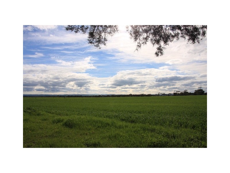 Section 595 Echo Park Road (Cnr Hopgood Rd), Strathalbyn SA 5255