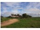 Section 595 Echo Park Road (Cnr Hopgood Rd), Strathalbyn SA 5255