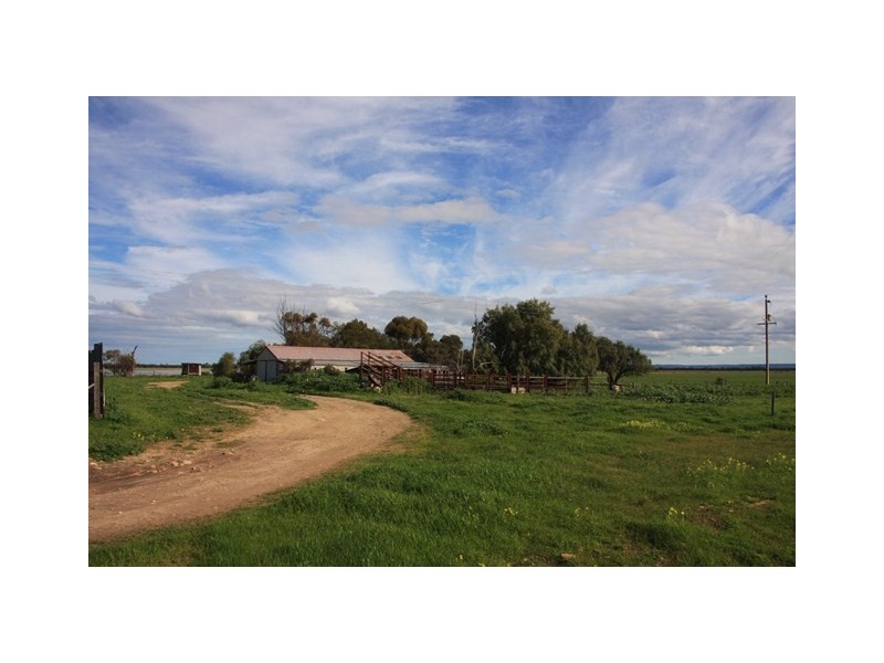 Section 595 Echo Park Road (Cnr Hopgood Rd), Strathalbyn SA 5255