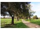 Section 595 Echo Park Road (Cnr Hopgood Rd), Strathalbyn SA 5255