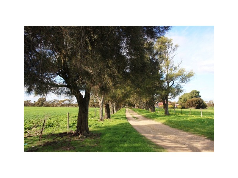 Section 595 Echo Park Road (Cnr Hopgood Rd), Strathalbyn SA 5255