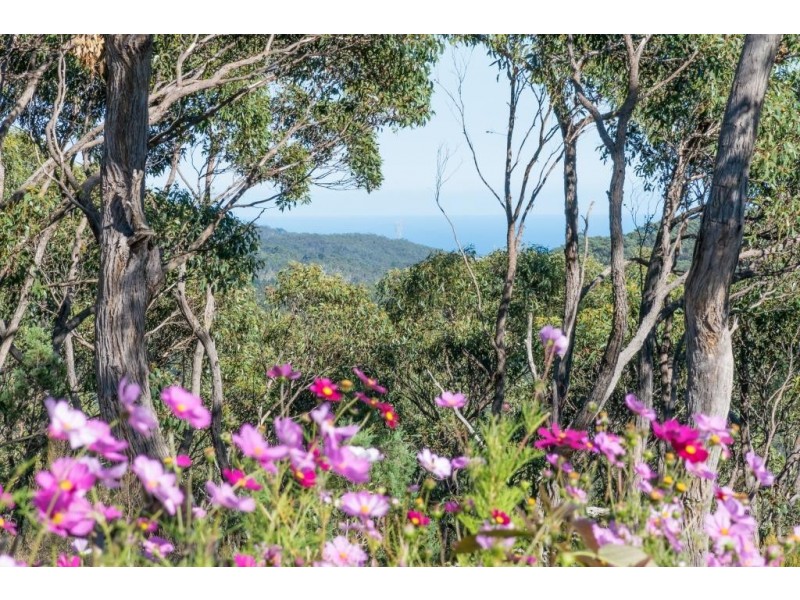 32 Walker Avenue, Heathfield SA 5153