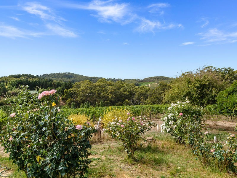 Lot 2 Private Road, Summertown SA 5141