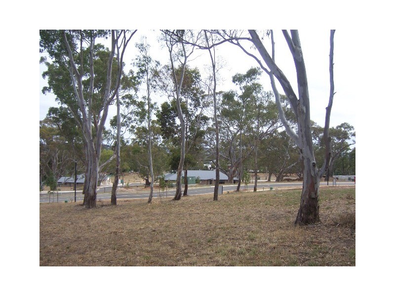 7 Jenkinson Drive, Mount Barker SA 5251