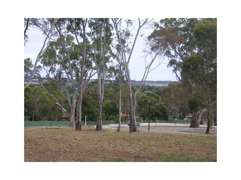 7 Jenkinson Drive, Mount Barker SA 5251