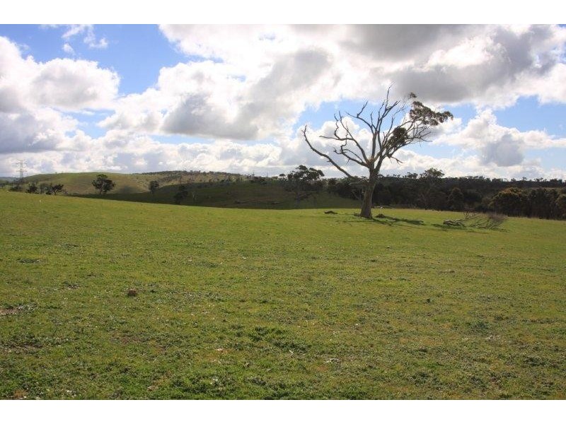 Lot 99 Range Road, Rockleigh SA 5254