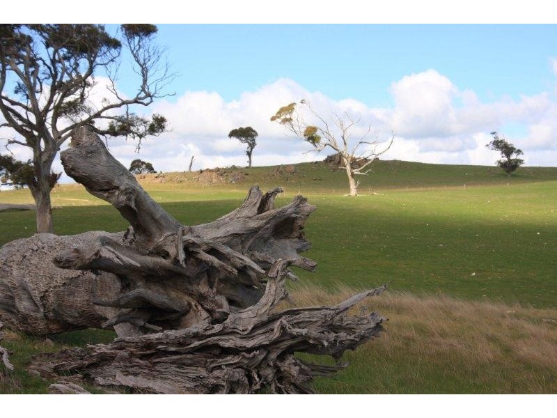 Lot 99 Range Road, Rockleigh SA 5254