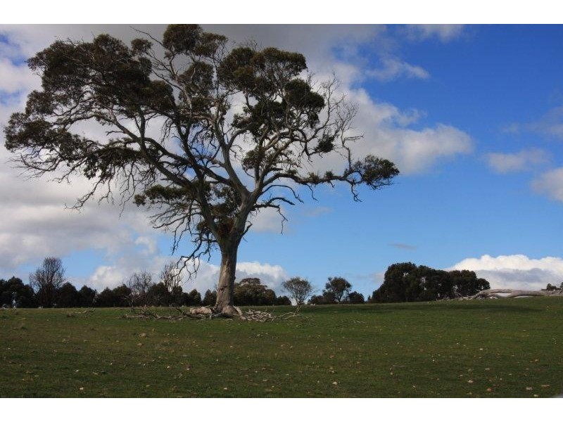 Lot 99 Range Road, Rockleigh SA 5254