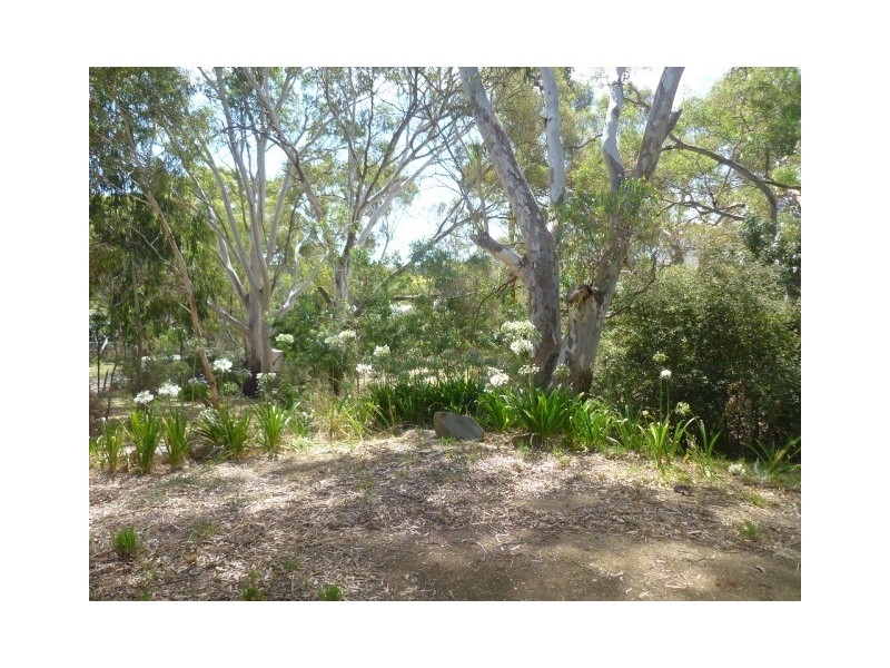 30 Luck Street, Macclesfield SA 5153