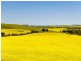 1036 Back Callington Road, Callington SA 5254