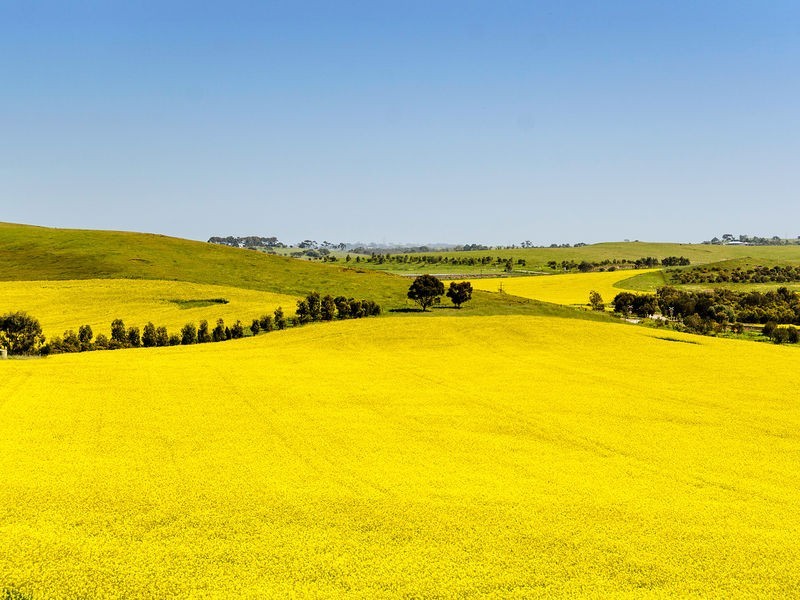 1036 Back Callington Road, Callington SA 5254