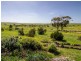 1036 Back Callington Road, Callington SA 5254