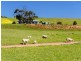 1036 Back Callington Road, Callington SA 5254