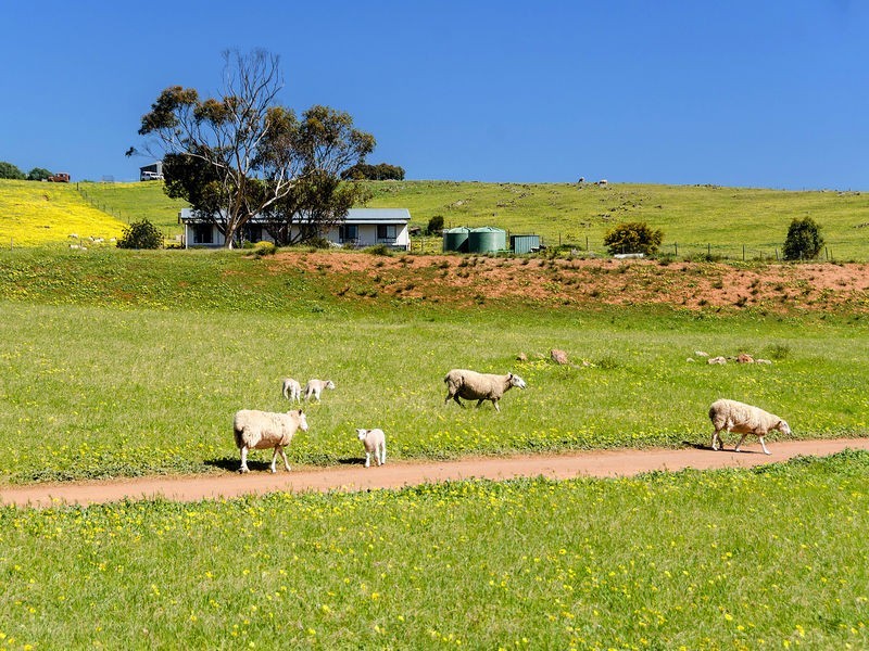 1036 Back Callington Road, Callington SA 5254