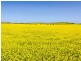 1036 Back Callington Road, Callington SA 5254