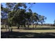 Lot 12, 13, 14 Paech Road, Mount Barker SA 5251