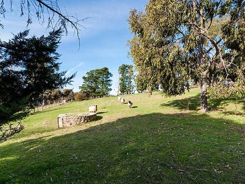 5 McNicol Lane, Nairne SA 5252