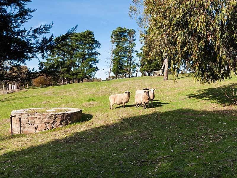 5 McNicol Lane, Nairne SA 5252