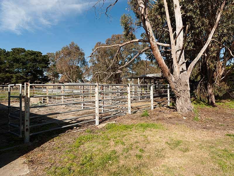 59 McLean Road, Birdwood SA 5234