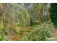 10 Rubida Grove, Aldgate SA 5154