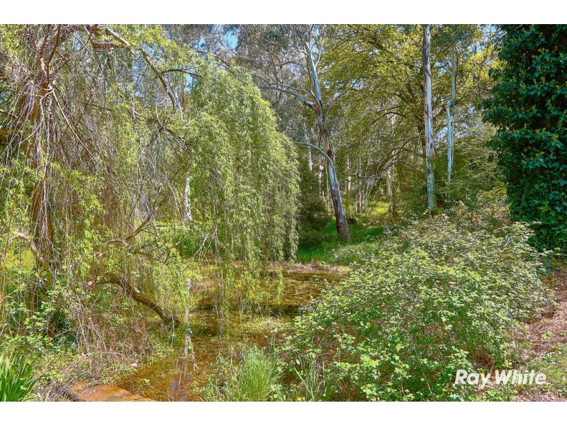 10 Rubida Grove, Aldgate SA 5154