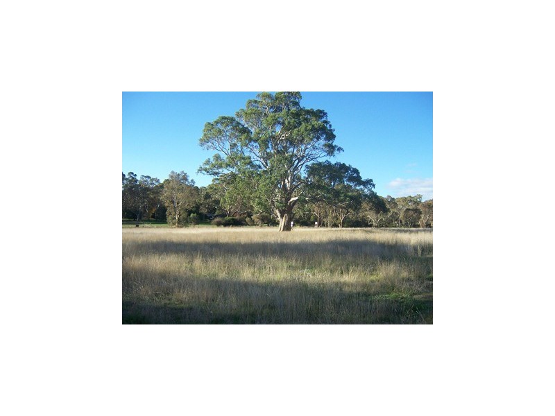 Lot 82 Joseph Court, Blakiston SA 5250