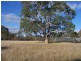 Lot 82 Joseph Court, Blakiston SA 5250