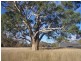 Lot 82 Joseph Court, Blakiston SA 5250